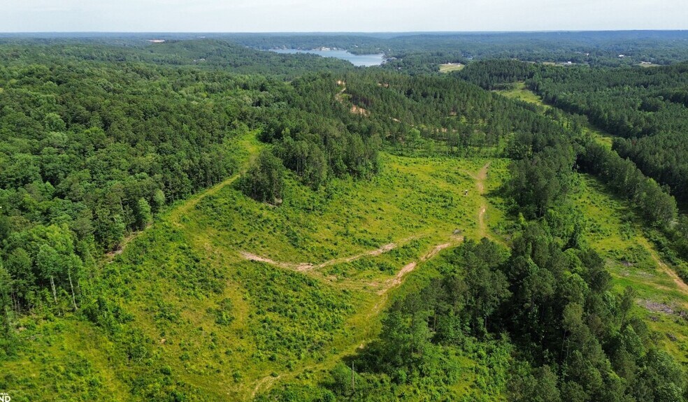 0 County Road 110, Bremen, AL à vendre - Aérien – Image 3 sur 16