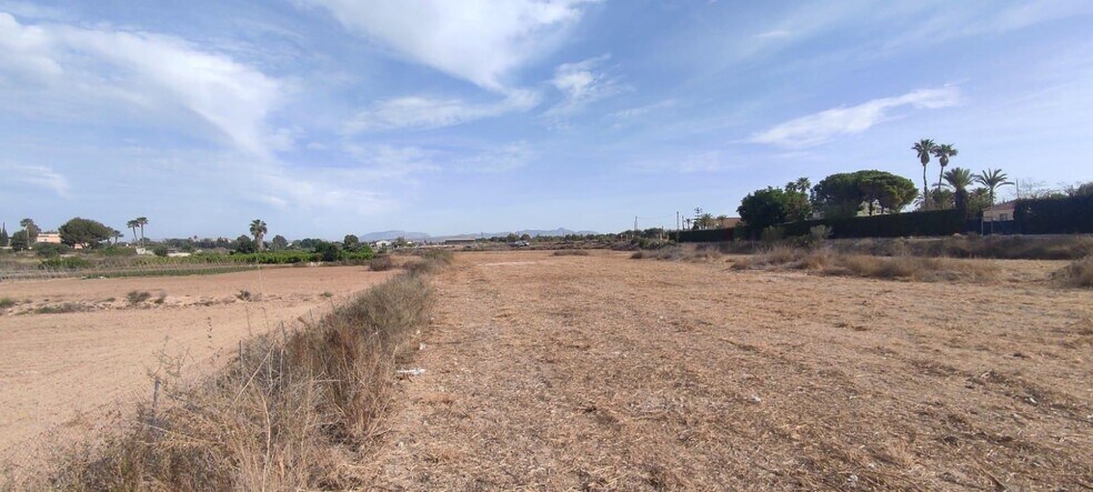 Valverde, Elche Pedanias, 121, Alicante, Alicante à vendre - Plan de site – Image 3 sur 5