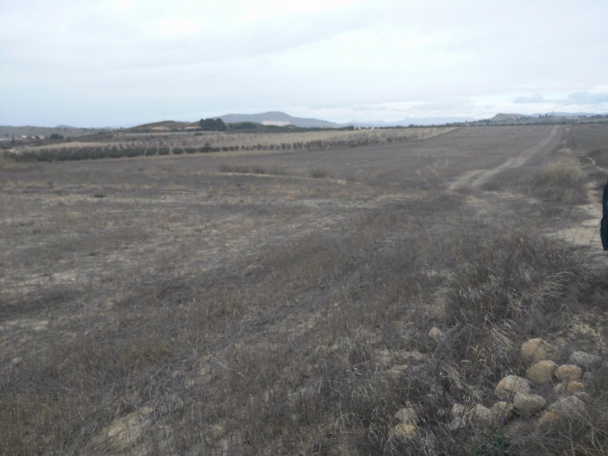 Terrain dans Calasparra, Murcia à vendre Plan de site– Image 1 sur 7