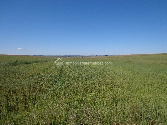 Terrain dans Sierra de Fuentes, Cáceres à vendre - Aérien – Image 1 sur 3