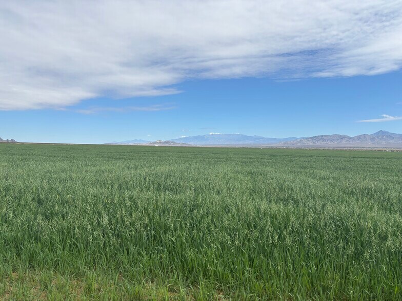 89370 Two Hawk Rd, Baker, CA à vendre - Autre – Image 2 sur 4