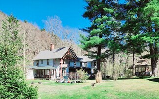 Plus de détails pour 37 Ava Maria Dr, Phoenicia, NY - Logement à vendre