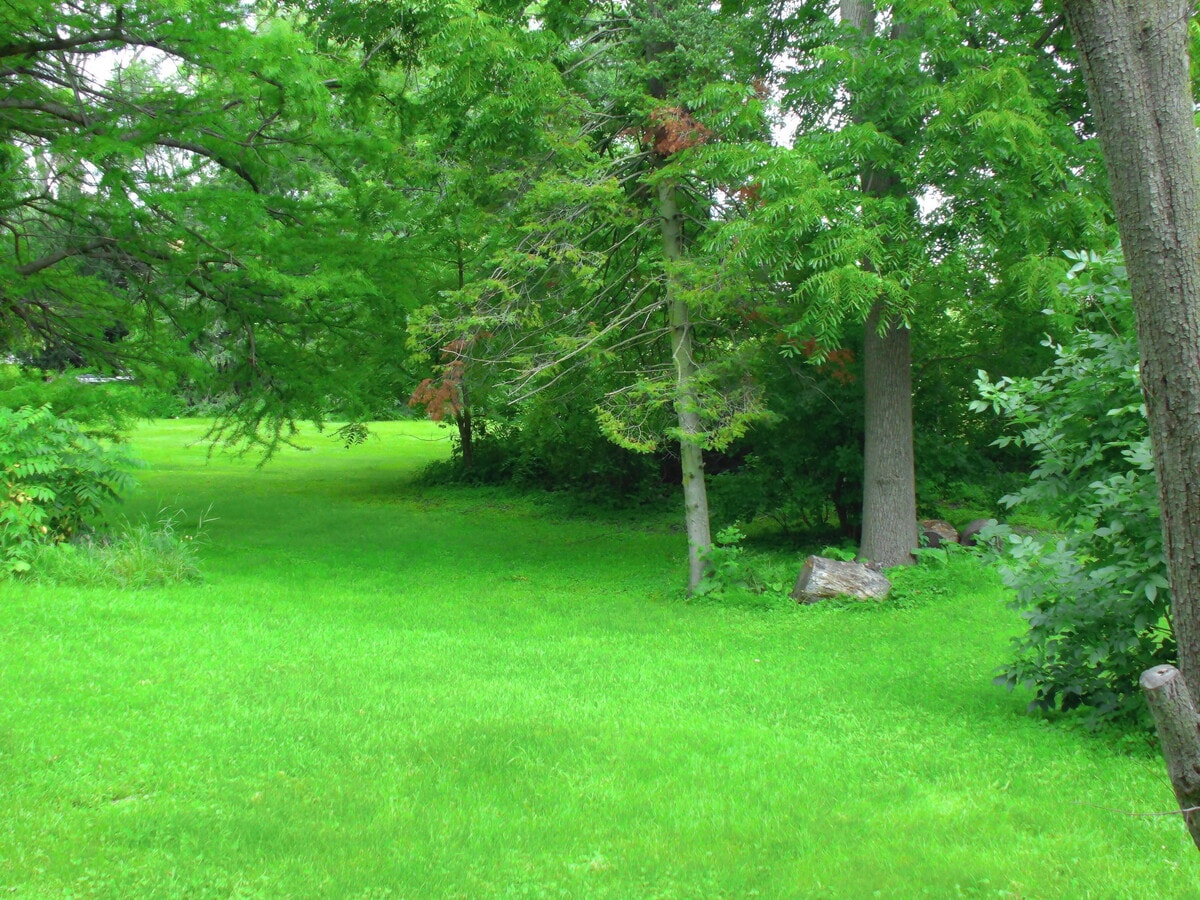 Photo principale