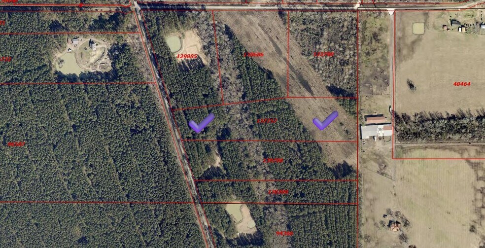 0 Pelican Rd, Shepherd, TX à vendre - Photo de l’immeuble – Image 2 sur 6