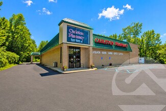 Plus de détails pour 201 Medical Center Dr, Carleton, MI - Local commercial à vendre