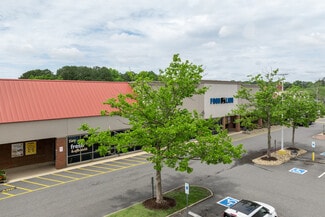 Plus de détails pour 5251 John Tyler Hwy, Williamsburg, VA - Local commercial à louer