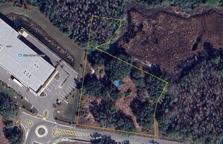 Plus de détails pour 27561 Dayflower Boulevard, Wesley Chapel, FL - Terrain à vendre