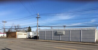 Plus de détails pour 955 Military Rd, Buffalo, NY - Industriel/Logistique à louer