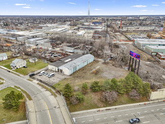 Plus de détails pour 15306 Rosa Parks Blvd, Detroit, MI - Industriel/Logistique à vendre