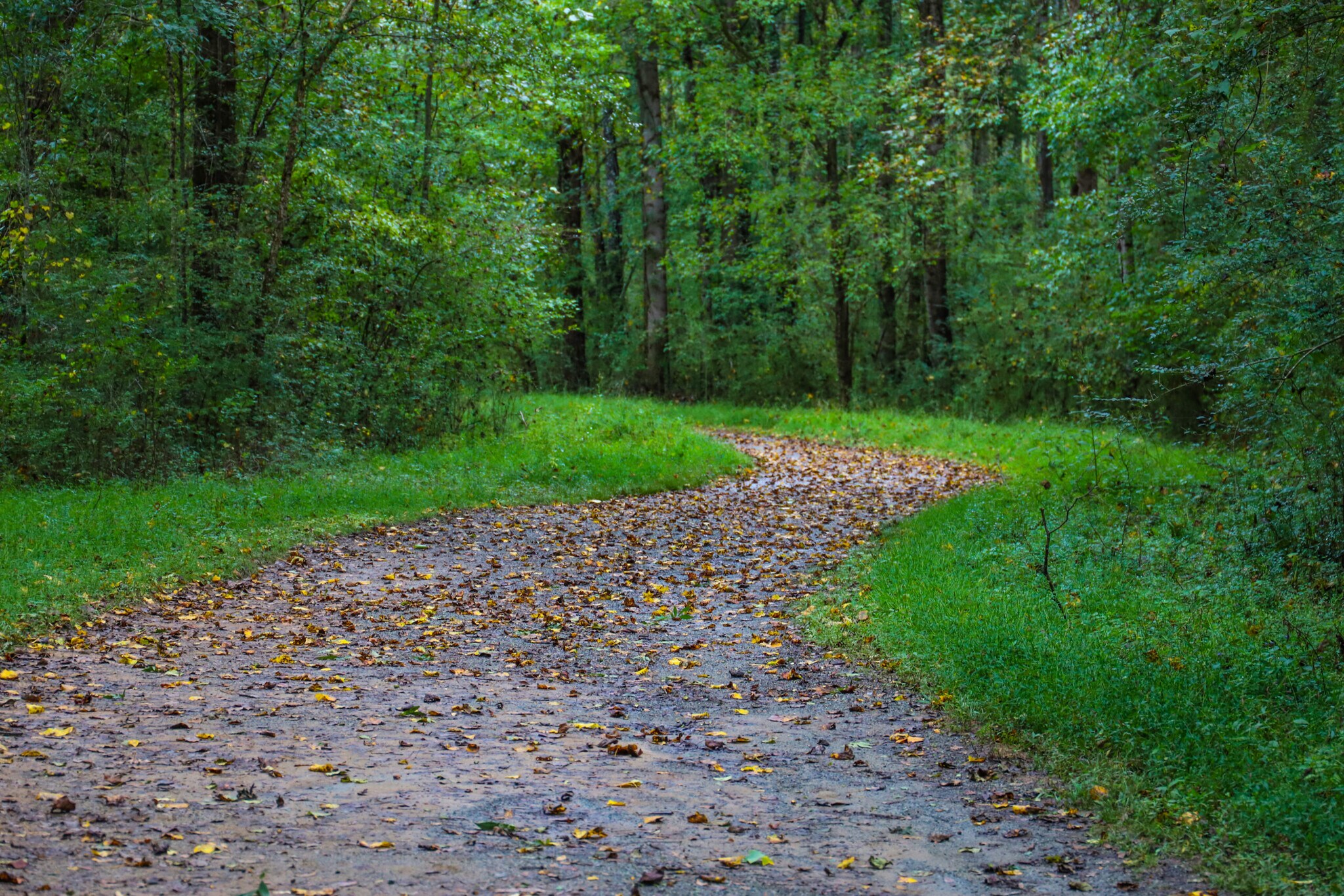 13703 Timberline Rd, Highland, IL à vendre Photo principale– Image 1 sur 2