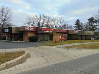 Plus de détails pour 30000 Orchard Lake Rd, Farmington, MI - Bureau à vendre