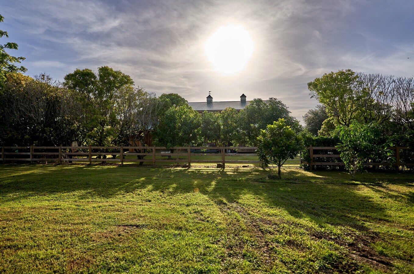 View Photo