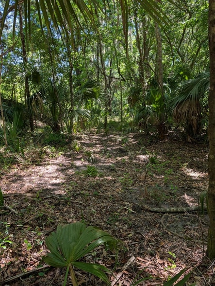 0 NW 202nd Pl, McIntosh, FL à vendre - Photo principale – Image 1 sur 7