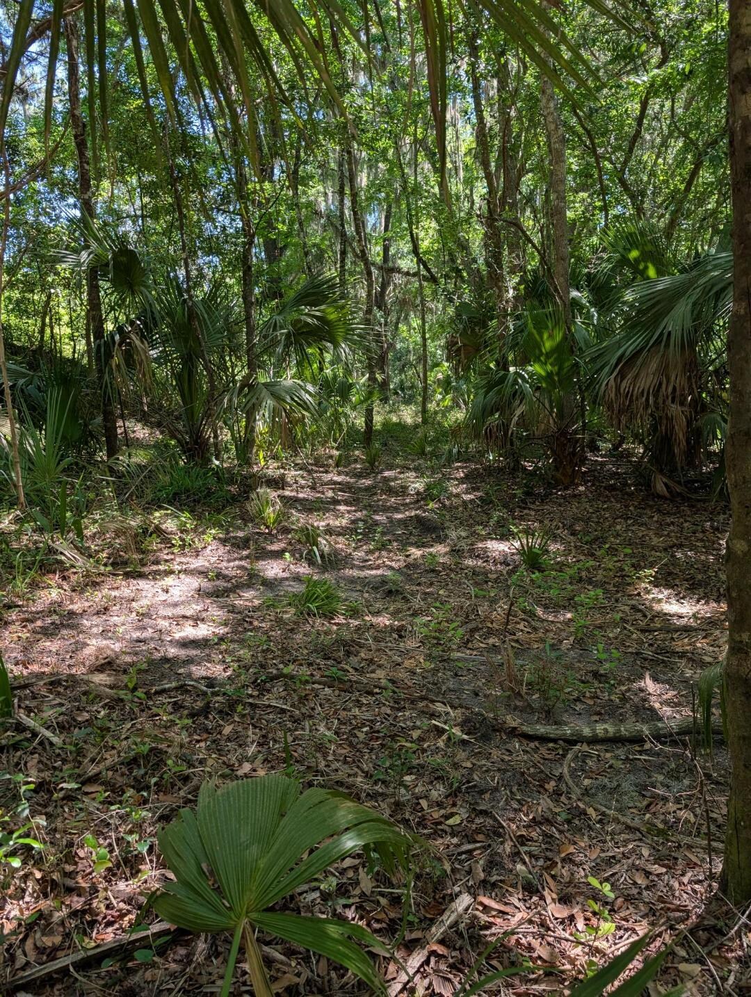 0 NW 202nd Pl, McIntosh, FL à vendre Photo principale– Image 1 sur 8