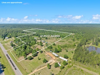 Plus de détails pour 39207 State Highway 59, Bay Minette, AL - Terrain à vendre