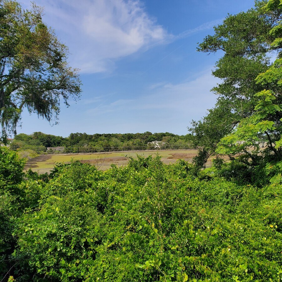 View Photo