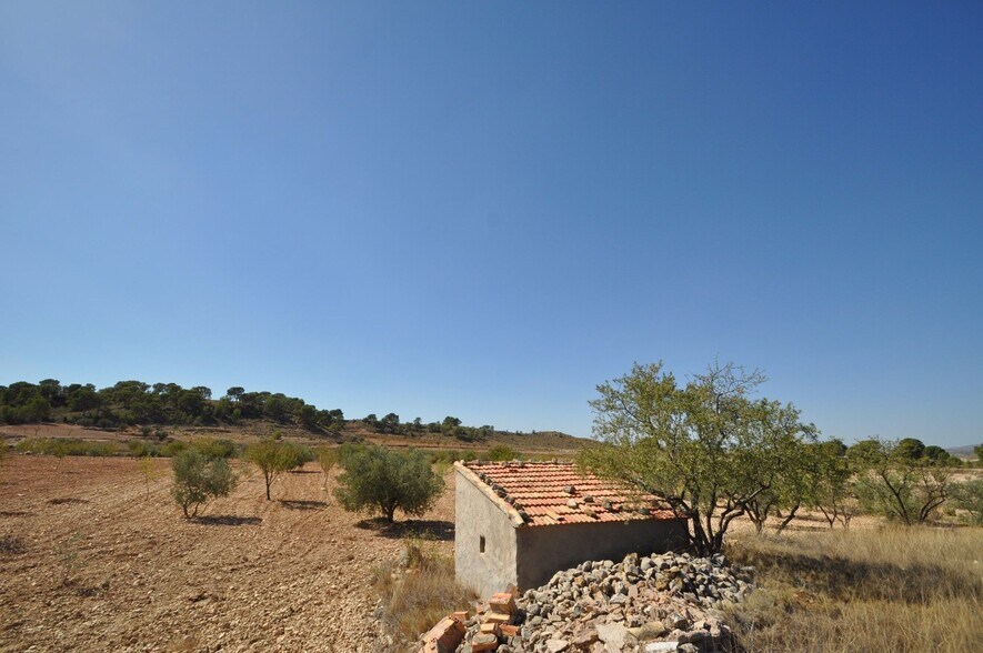 Terrain dans Jumilla, Murcia à vendre - Photo principale – Image 3 sur 13