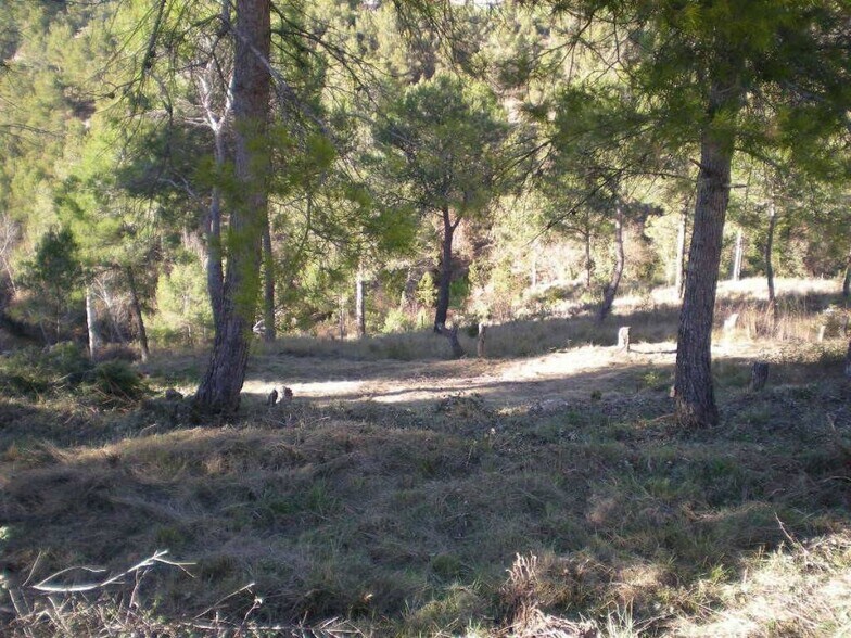 El Serrat de Castellnou portefeuille de 4 biens à vendre sur LoopNet.fr - Photo de l’immeuble – Image 3 sur 4