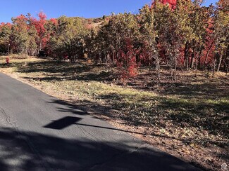 Plus de détails pour 121 N Oakwood Cir, Springville, UT - Terrain à vendre