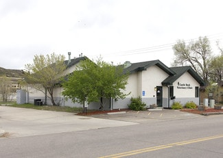 Plus de détails pour 800 Kinner St, Castle Rock, CO - Bureau/Médical à louer