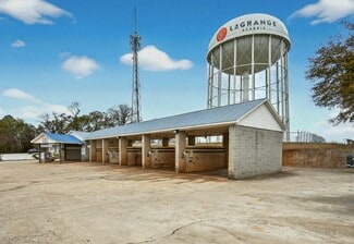 Plus de détails pour 42 Mitchell Ave, Lagrange, GA - Spécialisé à vendre