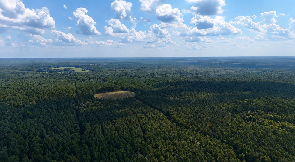 92 Lillian Strong rd, Carlton, GA à vendre - Photo de l’immeuble – Image 3 sur 94