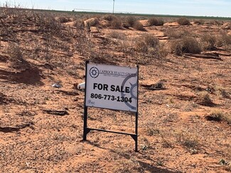 Plus de détails pour County Road 225, Plains, TX - Terrain à vendre