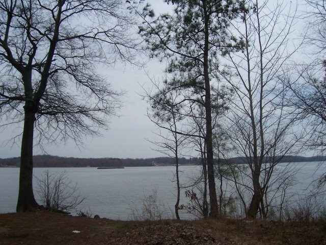 Bull Durham Rd, Springville, TN à vendre Photo principale– Image 1 sur 2