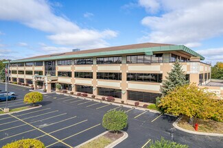 Plus de détails pour 1000 Royce Blvd, Oakbrook Terrace, IL - Bureau à louer