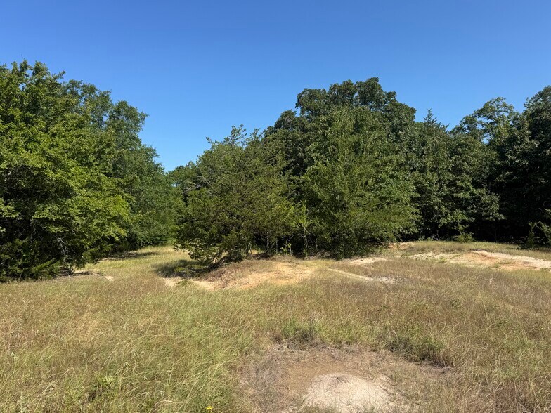 000 FM 751 Rd, Quinlan, TX à vendre - Photo de l’immeuble – Image 3 sur 13