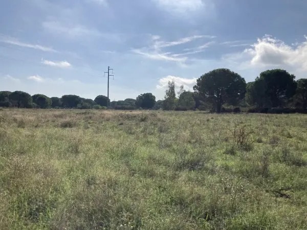 Terrain dans Palau-del-Vidre à vendre - Photo de l’immeuble – Image 3 sur 4