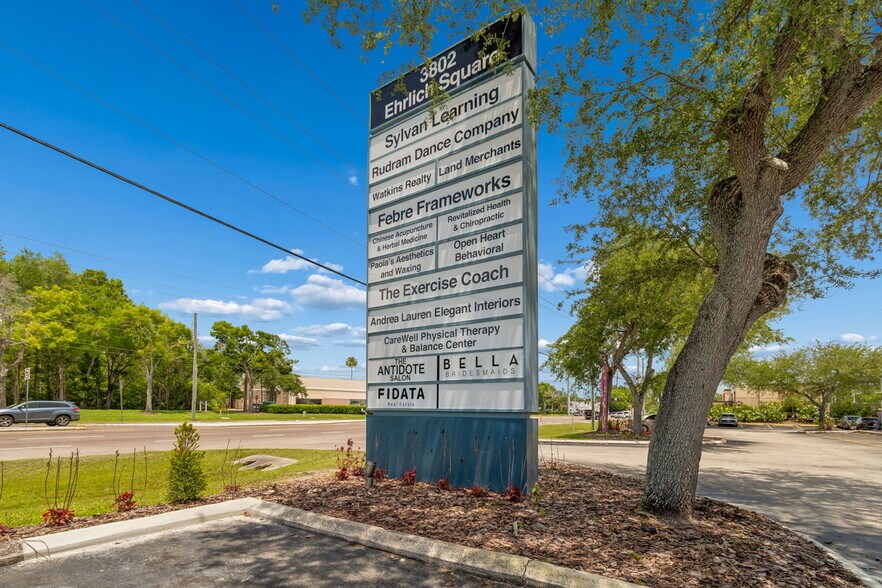 3802 Ehrlich Rd, Tampa, FL à louer - Photo de l’immeuble – Image 2 sur 5