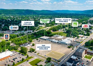 Plus de détails pour 299 S Main St, Elmira, NY - Local commercial, Local d'activités à louer