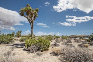 Plus de détails pour 999 Grand Ave, Yucca Valley, CA - Terrain à vendre