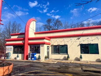 Plus de détails pour 310 E State Rd, Island Lake, IL - Local commercial à vendre