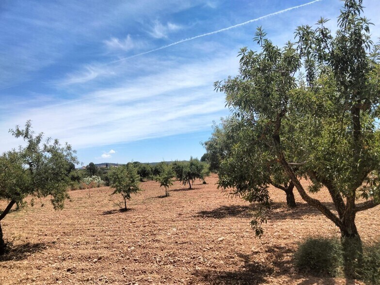 Terrain dans Cehegín à vendre - Photo de l’immeuble – Image 2 sur 7