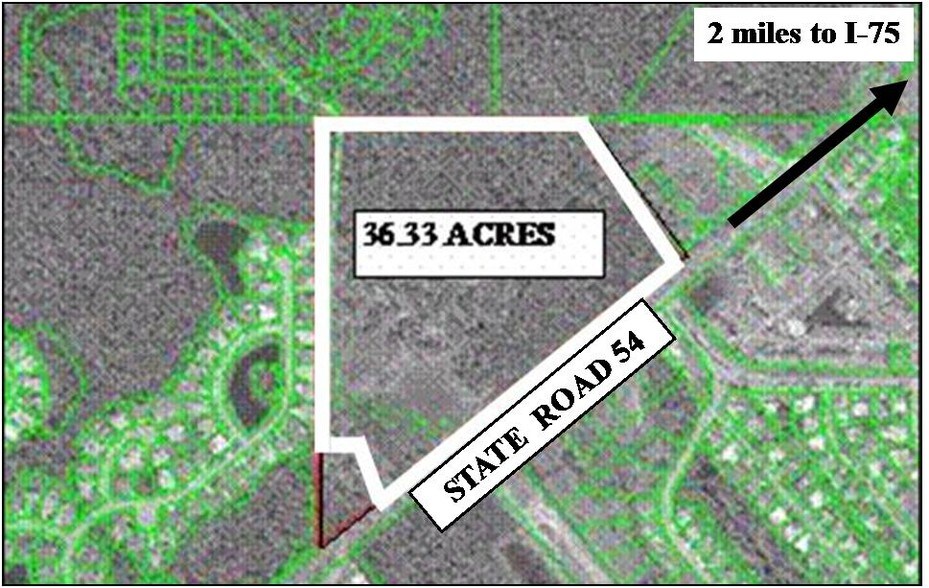 State Road 54, Wesley Chapel, FL à vendre - Photo de l’immeuble – Image 2 sur 5
