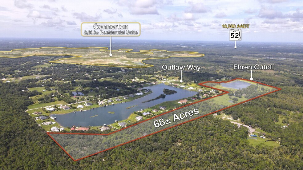 10460 Ehren Cutoff, Land O' Lakes, FL à vendre - Photo principale – Image 1 sur 13