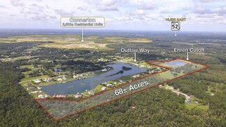 Plus de détails pour 10460 Ehren Cutoff, Land O' Lakes, FL - Terrain à vendre