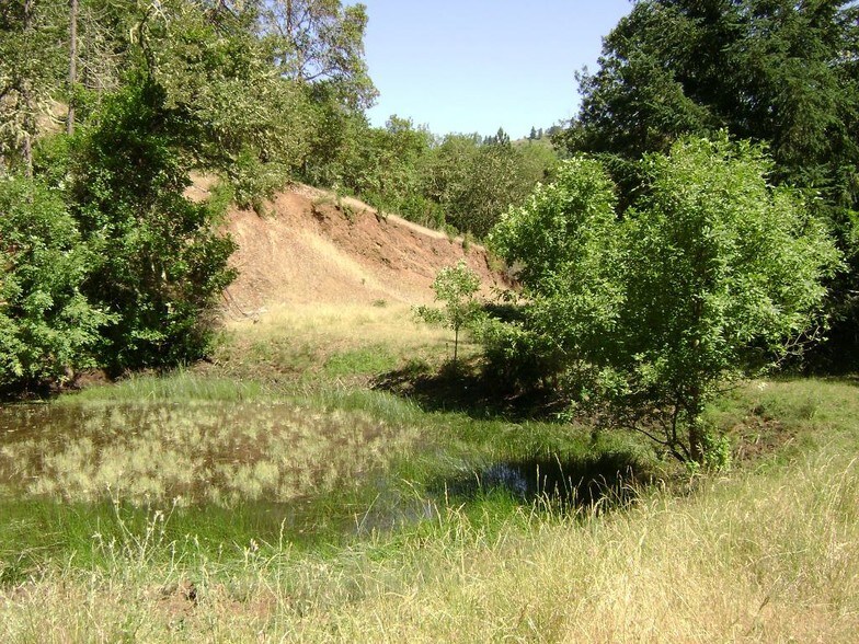 Newton Creek Rd, Roseburg, OR à vendre - Autre – Image 3 sur 6