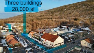 Plus de détails pour 212 Canal St, Ellenville, NY - Bureau, Local commercial à louer