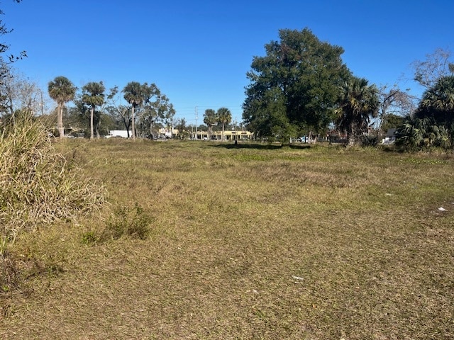 View Photo