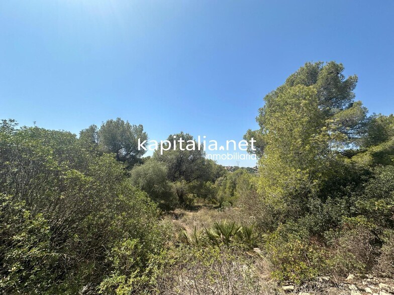 Terrain dans Alberic, Valencia à vendre - Photo principale – Image 2 sur 5