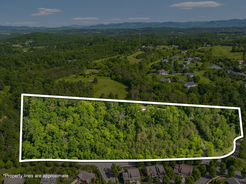 144 Pinebrook Rd, Asheville, NC à vendre - Photo principale – Image 1 sur 10