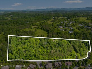 Plus de détails pour 144 Pinebrook Rd, Asheville, NC - Terrain à vendre