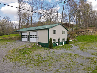 Plus de détails pour 171 Maryland Line Rd, Bruceton Mills, WV - Local d’activités à vendre