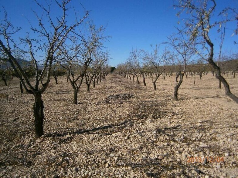 Terrain dans MURCIA à vendre - Photo principale – Image 2 sur 6