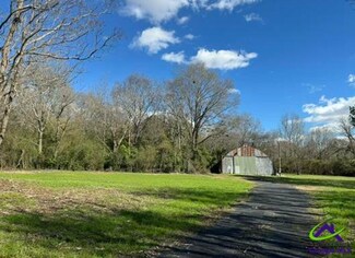 Plus de détails pour 140 South St, Marshallville, GA - Terrain à vendre