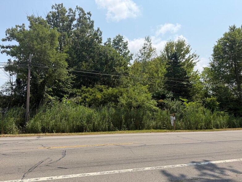 0000 Huron River Dr, New Boston, MI à vendre - Aérien – Image 2 sur 12