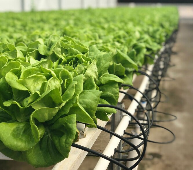 5820 US-290 portefeuille de 5 biens à vendre sur LoopNet.fr - Photo de l’immeuble – Image 3 sur 62